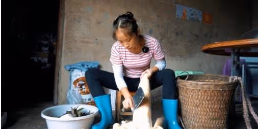比起牛愛芳春花的人設崩塌，蜀中桃子姐的清醒與真實，真叫人佩服