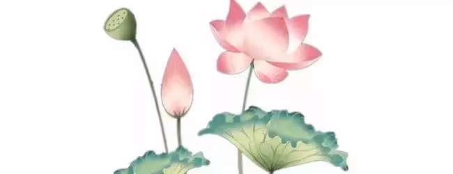 王一博糟蹋資源?孟美岐被封殺?丁真被團隊操控?黃磊孫莉合體造勢?朱一龍立志沖獎?