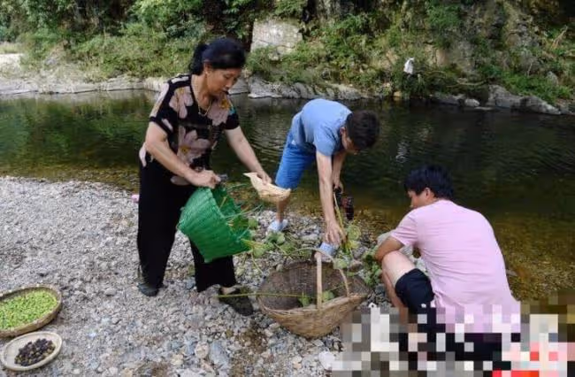 "山村網紅"潘姥姥：從負債纍纍到年入1800萬，她到底經歷了什麼？