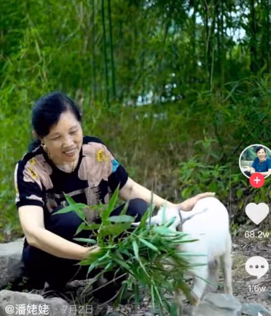 "山村網紅"潘姥姥：從負債纍纍到年入1800萬，她到底經歷了什麼？