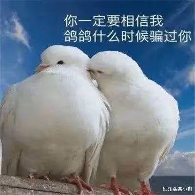 甜炸了!低調結婚,兩個女兒都生了!