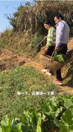 從農村夫婦到漲粉千萬，「牛愛芳的小春花」是怎麼走紅的？