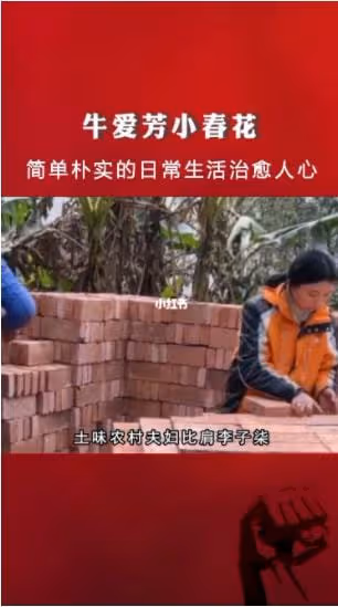 從農村夫婦到漲粉千萬，「牛愛芳的小春花」是怎麼走紅的？