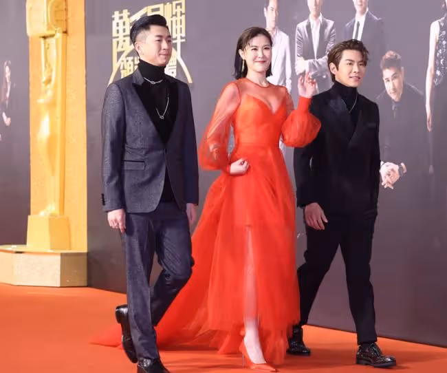 TVB頒獎紅毯:陳自瑤秀美背,黃智雯顯高貴,鍾嘉欣穿漁網衫壓軸