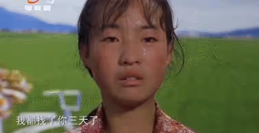 13歲喂豬，一夜爆紅後被張藝謀勸退娛樂圈，36歲的魏敏芝如何了？