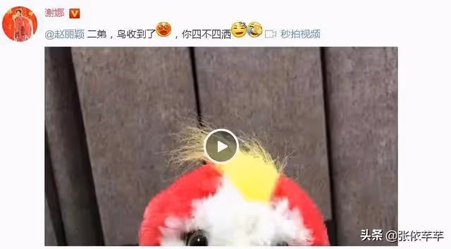 6年後再看趙麗穎謝娜:這對相愛相殺的姐妹情,絕對是世間罕有