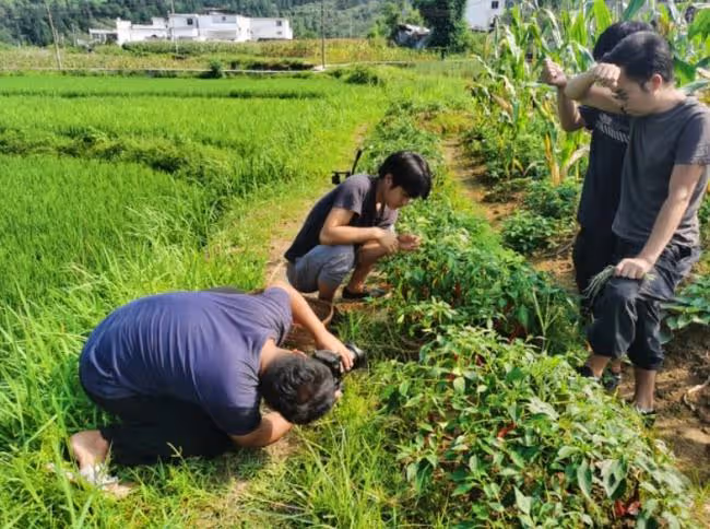 農村小伙輟學供姐姐讀大學，拍視頻成百萬網紅，是真窮還是作秀
