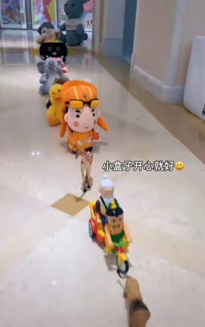 奧運冠軍何姿曬西安隔離生活,大牌玩具擺滿屋,4歲女兒活成公主