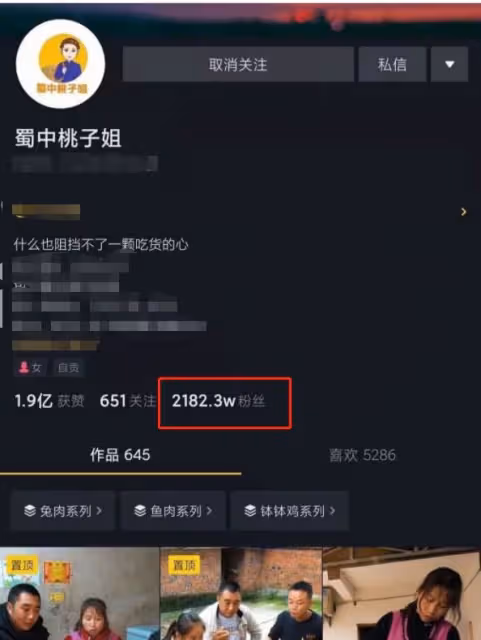 從村婦晉升頂流網紅，被白岩松誇讚，蜀中桃子姐到底什麼來頭？