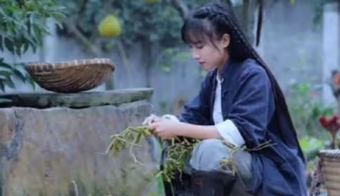 從村婦晉升頂流網紅，被白岩松誇讚，蜀中桃子姐到底什麼來頭？