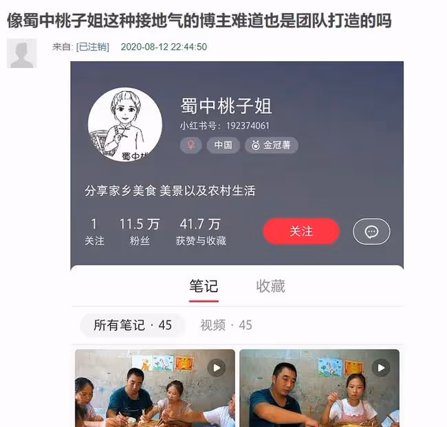 從村婦晉升頂流網紅，被白岩松誇讚，蜀中桃子姐到底什麼來頭？