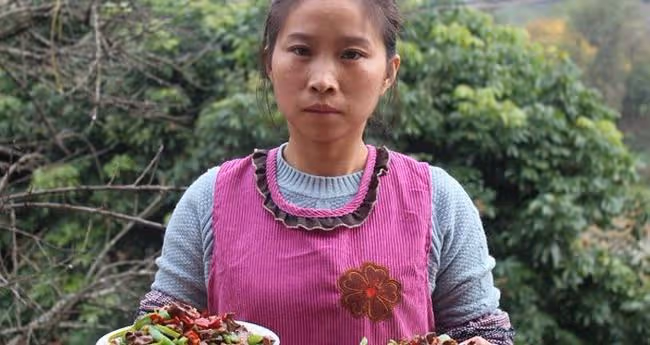 從村婦晉升頂流網紅，被白岩松誇讚，蜀中桃子姐到底什麼來頭？