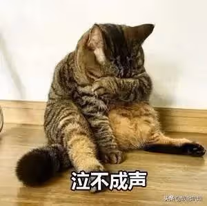 (一)韓美人系列之夢想漁圈,卻被迫成為了理髮工具的故事?