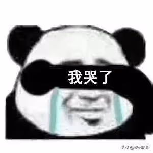 (一)韓美人系列之夢想漁圈,卻被迫成為了理髮工具的故事?