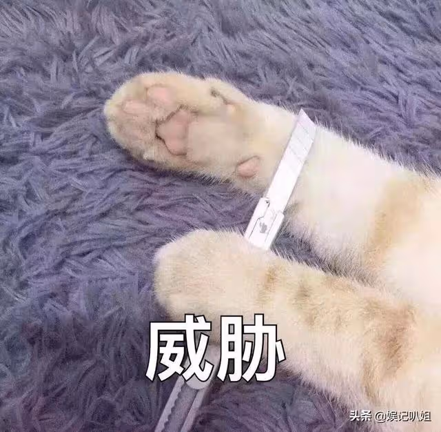 (四)韓美人系列之被大佬救出,從此捲入權貴圈紛爭中?