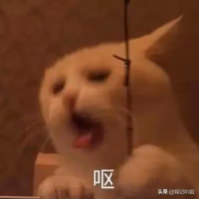 (四)韓美人系列之被大佬救出,從此捲入權貴圈紛爭中?