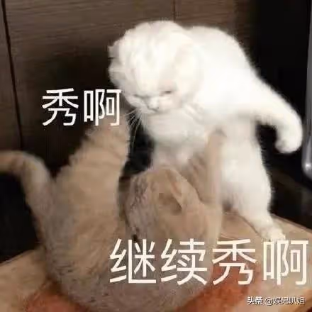 (二)韓美人系列之成為理髮工具,差點被連累進小黑屋的故事?