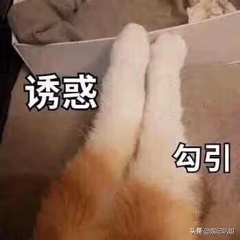 (二)韓美人系列之成為理髮工具,差點被連累進小黑屋的故事?