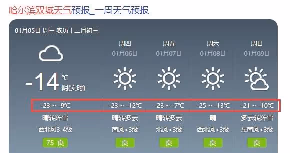 40歲馬蘇哈爾濱拍戲被凍傻，站冰柱下神情呆滯，被群眾圍觀人氣高