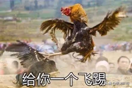 (十)韓美人系列之韓美人和小太陽離婚的內幕?
