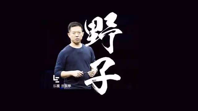 講一講,賈躍亭的丑媽故事,