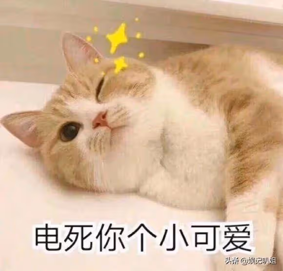 (八)韓美人系列之小太陽上位的秘密?