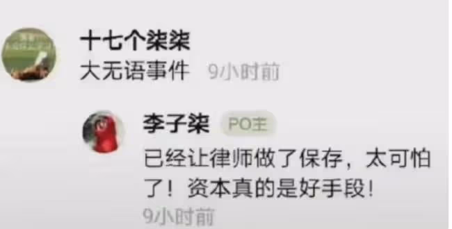 從酒吧DJ到坐擁千萬粉絲，李子柒的「清醒」，會讓多少網紅臉紅？