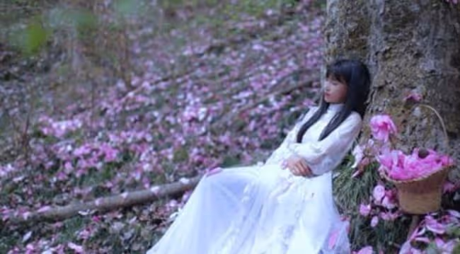 從酒吧DJ到坐擁千萬粉絲，李子柒的「清醒」，會讓多少網紅臉紅？