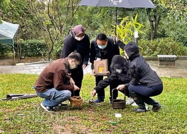 陳松勇正式下葬!乾兒子冒雨將骨灰埋進3個洞,不見爭遺產的二弟