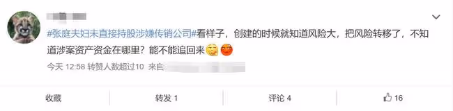 張庭夫婦早留後手？未直接控股涉傳銷公司，被曝已轉移600億資產