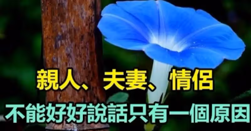 親人、夫妻、情侶，不能好好說話只有一個原因