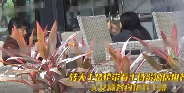 12歲王詩齡曬油畫作品,意外曝光畫室內景,畫作曾被拍賣至10萬元