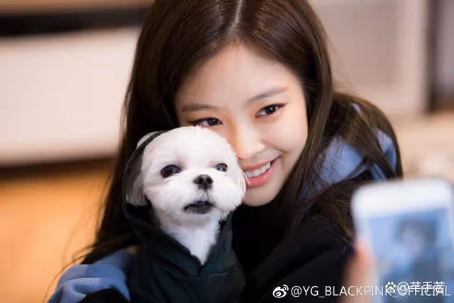 BLACKPINK一年沒有回歸,粉絲並沒有因此而生氣,原因其實很簡單