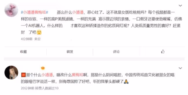 小潘潘名聲"落水"記：從一夜爆紅到被全網群嘲，她到底做錯了什麼