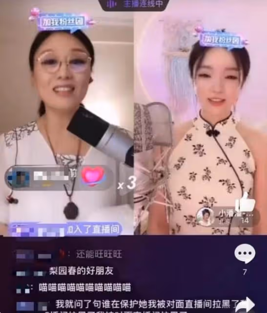 小潘潘名聲"落水"記：從一夜爆紅到被全網群嘲，她到底做錯了什麼