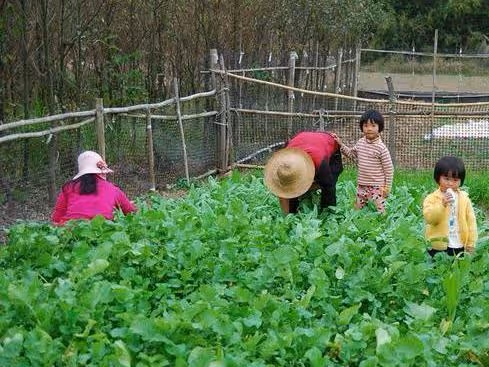 拆遷分了兩套房,我給女婿一套房,如今兒媳讓我給她弟一套房