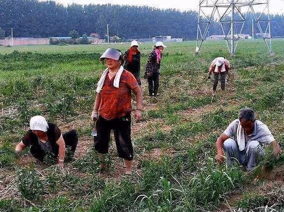 侄子來我家住三天,家裡少五百,老婆認為侄子偷錢,我給他一巴掌