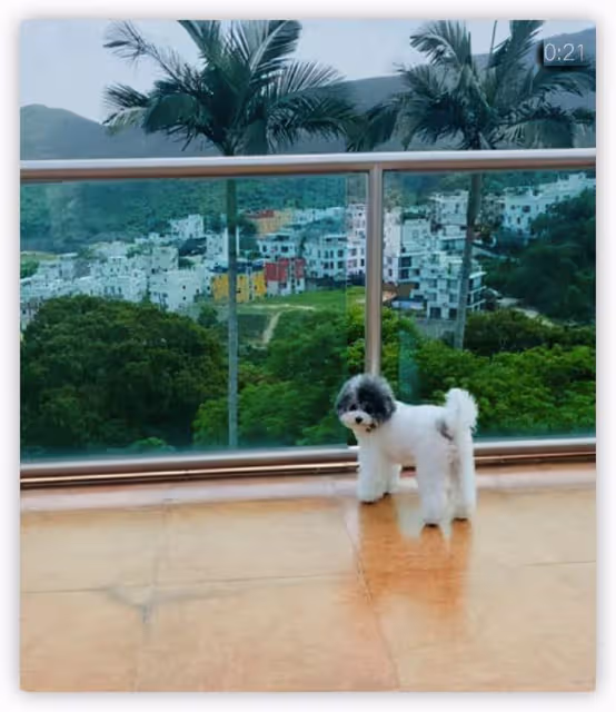 54歲港星轉行成富豪,在TVB多年星途坎坷,現住千萬豪宅生活瀟灑