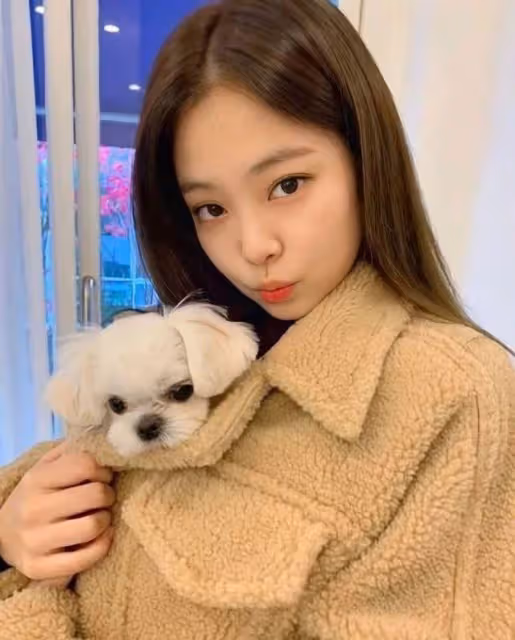 10個本名超像藝名的韓星姜丹尼爾、Jennie竟都是真名!