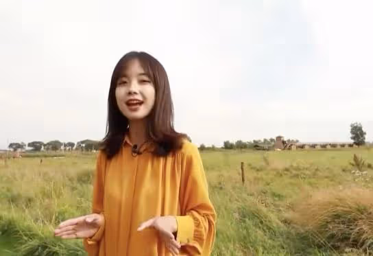 央視王冰冰遭瘋狂粉絲人肉！婚姻過往疑似曝光，四級成績都被扒出