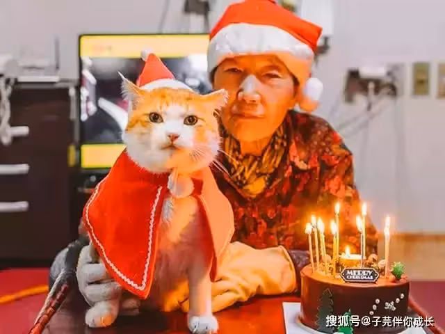 晚年幸福秘訣!一位89歲老人的忠告「晚年要想過得安逸」請牢記4句話:尤其是不要跟兒女住一起