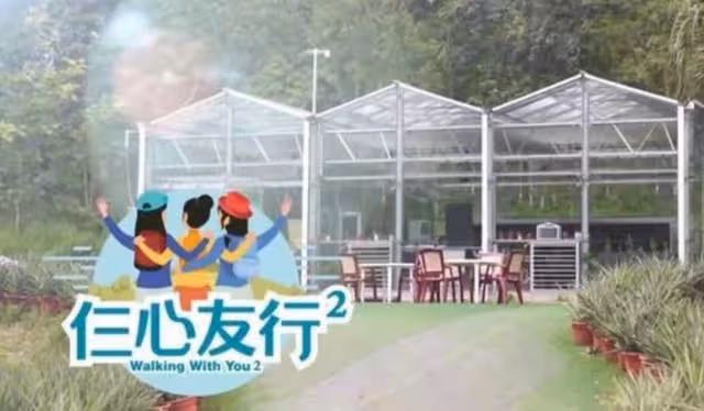 渴望有自己的家庭,TVB力捧小花16歲便入行,感慨一路上只有工作