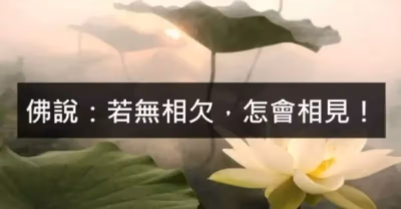 所有的遇見，都是一種償還！「若無相欠，怎會相見」