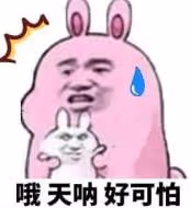 南洋雙胞胎姐妹花的後續瓜來了！