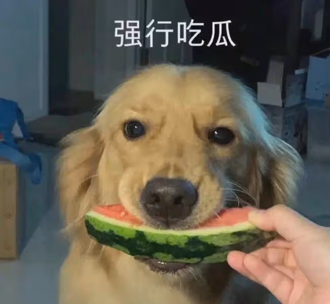 Yumi喊話李靚蕾:高手過招,比得就是誰更無恥