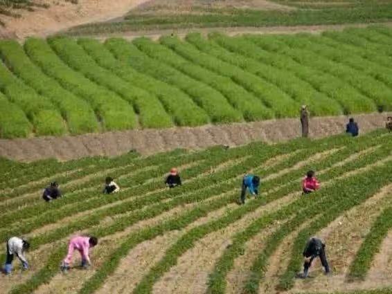 我三歲過繼給姑媽,如今我年薪20萬,母親和姑媽讓我每月各給五千