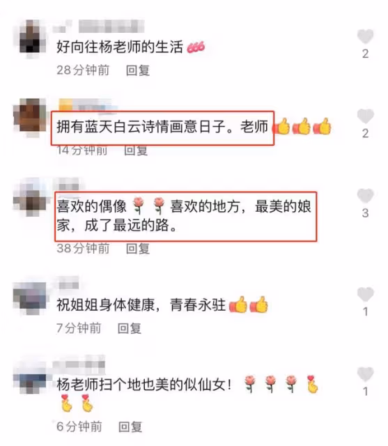楊麗萍近照美如畫,穿長裙戴墨鏡做家務,自曝疫情期間日子不好過