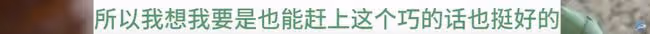 又來了個孩子!她突然當媽了。