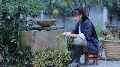 網紅界4大「超頂流」,誰更勝一籌?