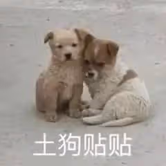 宋智雅躥紅,全靠營銷?